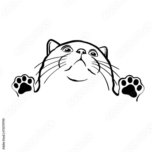 Silhouette of a cat with raised paws looking up. Funny funny cat. Vector illustration