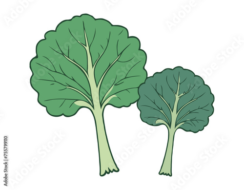 Two large kale leaves on a white background