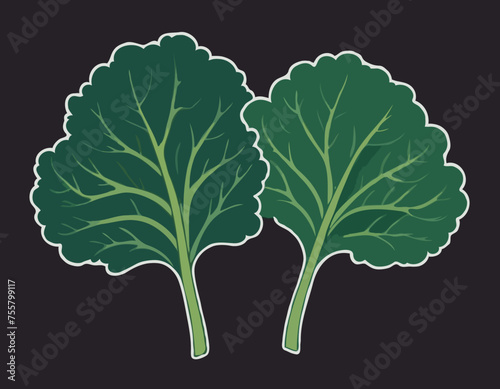 Two large kale leaves on a white background