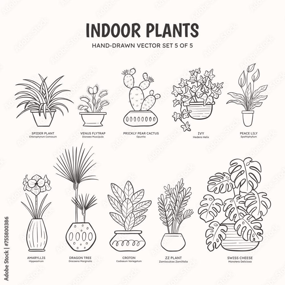 Collection of doodle plants for indoor spaces. Tropical plants