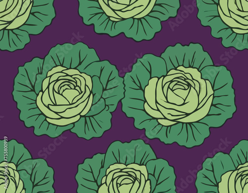 Bright vector illustration of colorful cabbage isolated on white background