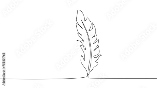 Self-drawing of continuous drawing of one line of an isolated object feather