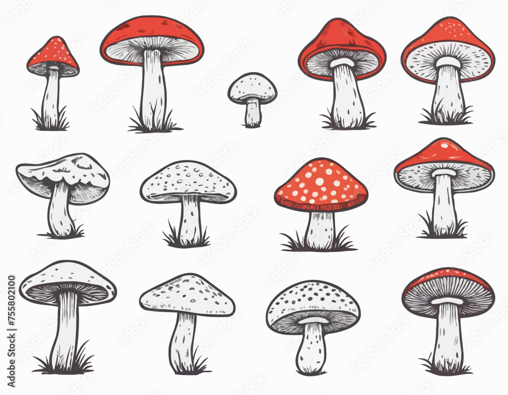 Vector Hand Drawn Mushroom With Outline Icon Set Isolated. Amanita Muscaria, Fly Agaric Scetch, Doodle, Linear Sign Collection. Magic Mushroom Symbol, Design Template. Vector illustration
Vector Hand Drawn Mushroom With Outline Icon Set Isolated. Amanita Muscaria, Fly Agaric Scetch, Doodle, Linear Sign Collection. Magic Mushroom Symbol, Design Template. Vector illustration