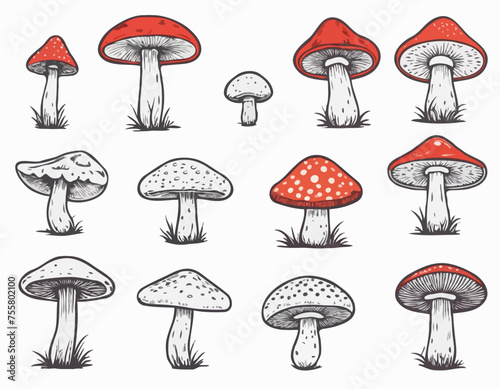 Vector Hand Drawn Mushroom With Outline Icon Set Isolated. Amanita Muscaria, Fly Agaric Scetch, Doodle, Linear Sign Collection. Magic Mushroom Symbol, Design Template. Vector illustration 