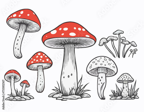 Vector Hand Drawn Mushroom With Outline Icon Set Isolated. Amanita Muscaria, Fly Agaric Scetch, Doodle, Linear Sign Collection. Magic Mushroom Symbol, Design Template. Vector illustration 