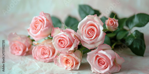 Beautiful Pink Roses Arrangement on White Surface with Green Leaf in the Middle