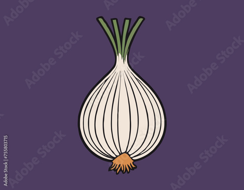 Onion
