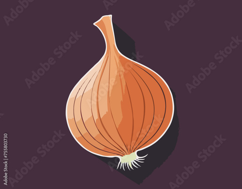 Onion
