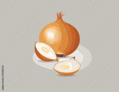 Onion
