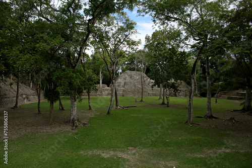 mayan ruins in jungle photo