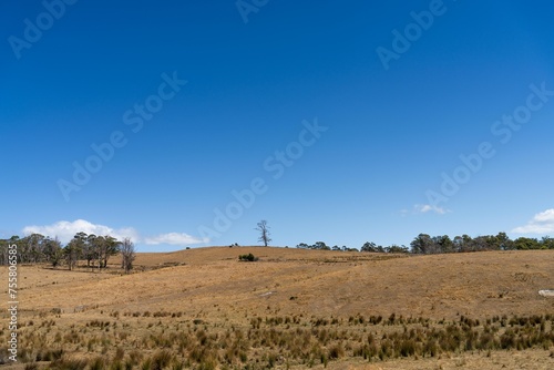 dry hot farming landscape in australia. drought on a farm with bare soil