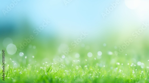 sunny spring meadow with green grass and blue sky, bokeh background 