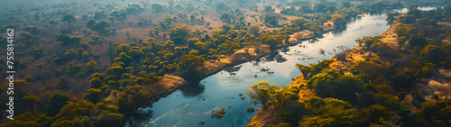 African Landscape Drone View . generative ai 