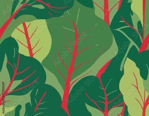 Fresh swiss chard 
