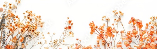 White Wall Adorned With Orange Flowers © BrandwayArt