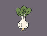 Turnip vegetable isolated on white. Vector flat clipart.
