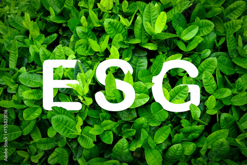 ESG text on green leaves in garden background.Environmental concept, social corporate governance impact investing.Ethical and sustainable investing business sustainable organizational development.