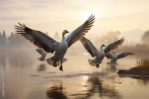 Flock of geese taking flight from a tranquil pond. Generative AI