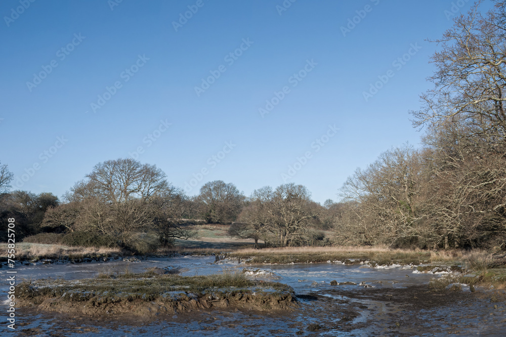 ice crystals and frost on the bed of the River Hamble Hampshire England on a cold winter day ice crystals and frost on the bed of the River Hamble Hampshire England on a cold winter day