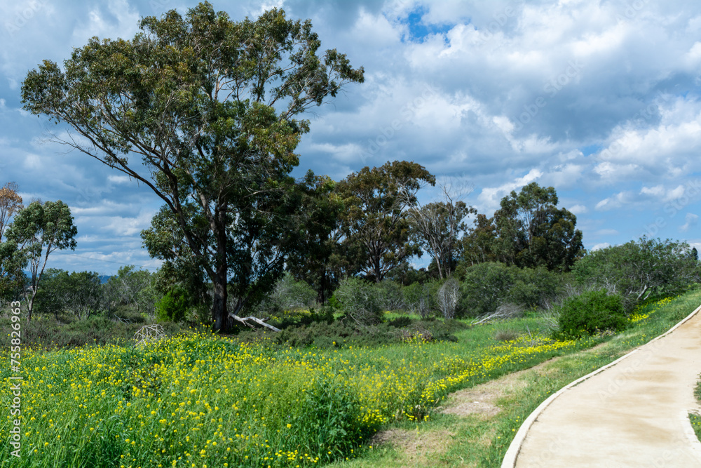 Idyllic little footpath in the middle of nature on a sunny day