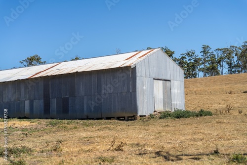 farm shed on a livestock farm. with cows and livestock in a paddock © Phoebe