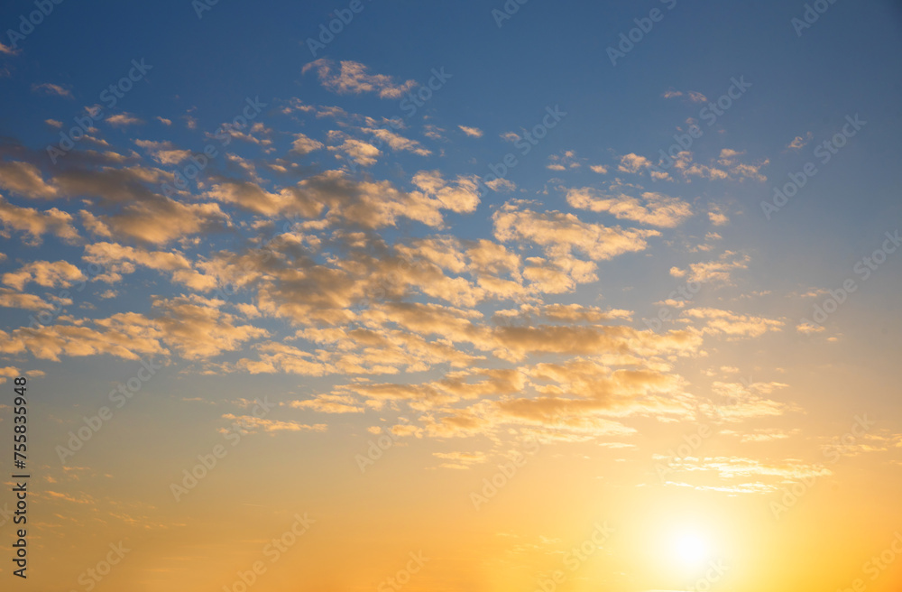 evening sky in strong colors yellow and blue with fleecy clouds evening sky in strong colors yellow and blue with fleecy clouds