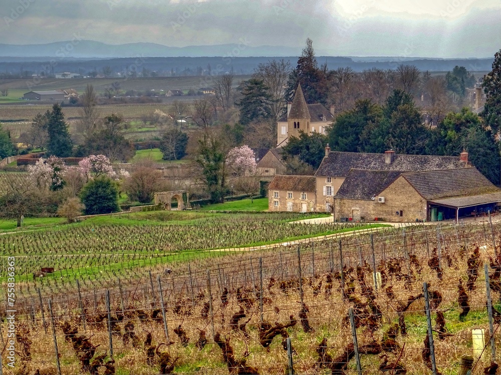 Côte Chalonnaise en Bourgogne du sud.