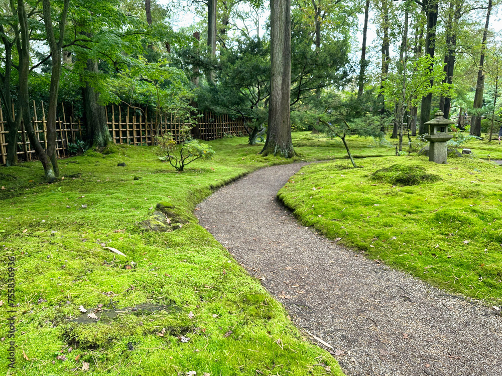 Bright moss, different plants, stone lantern and pathway in Japanese garden