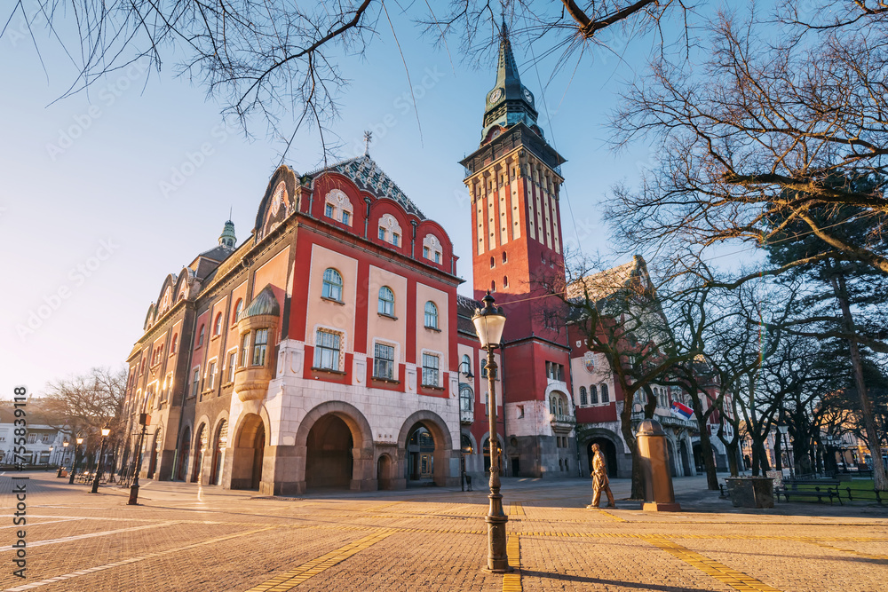 Obraz premium panoramic view of Subotica Town Hall as a focal point of the cityscape, its intricate decoration and grandeur attracting tourists