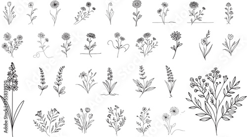 minimalist plants, flowers, and herbs drawn with a single thin line, black vector graphic