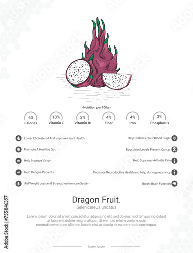 Dragon Fruit - Selenicereus undatus illustration with nutrition and benefits wall decor Ideas