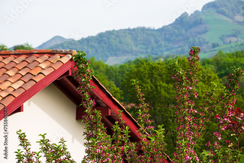 French Basque Country landscape with traditional architecture house and mountains at background . Selective focus on blooming bush with purple flowers. Springtime rural vacation in France concept. photo