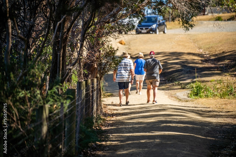 Fototapeta premium walking on a track in a park in australia in the bush
