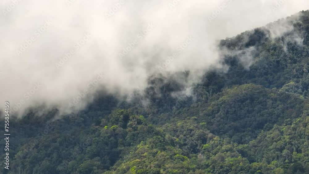 Top view of mountain slopes covered with rainforest and jungle. Sumatra, Indonesia. Top view of mountain slopes covered with rainforest and jungle. Sumatra, Indonesia.