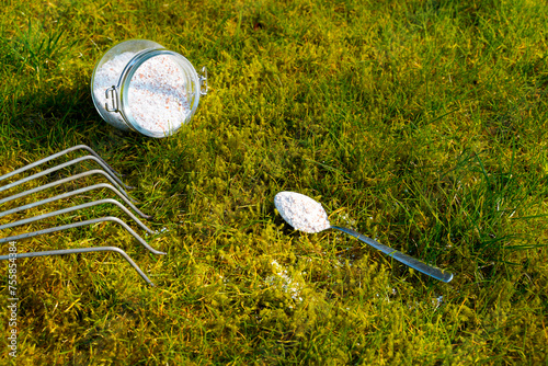 Naturall moss removal on the green lawn with rake and crashed eggshells as lime fertilizer