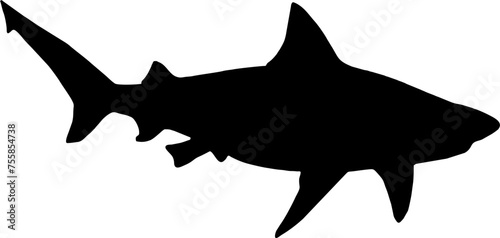 Shark Fish black vector silhouette image