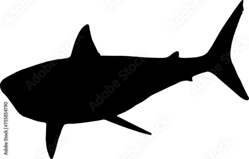 Shark Fish black vector silhouette image photo