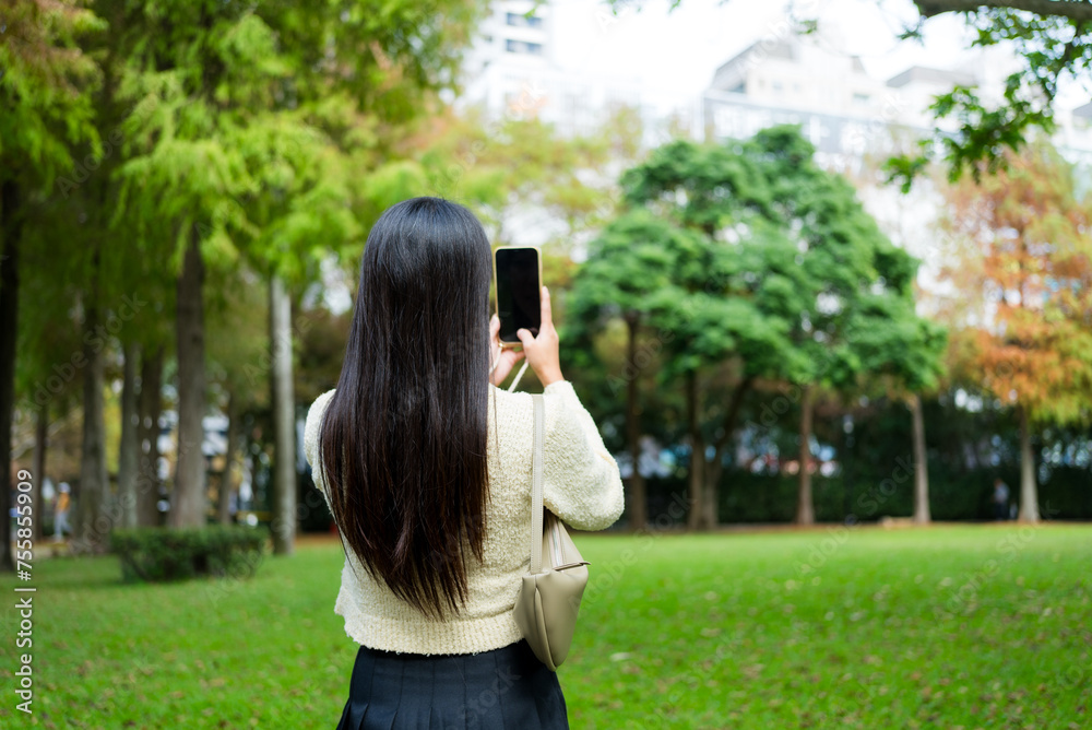 Woman use mobile photo to take photo of the Ginkgo tree at Autumn season Woman use mobile photo to take photo of the Ginkgo tree at Autumn season