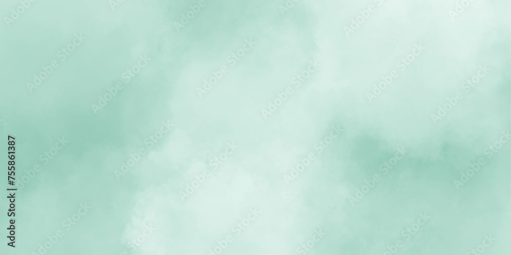 Mint horizontal texture,spectacular abstract,vector cloud cumulus clouds smoke isolated misty fog mist or smog,burnt rough vintage grunge ice smoke overlay perfect.
