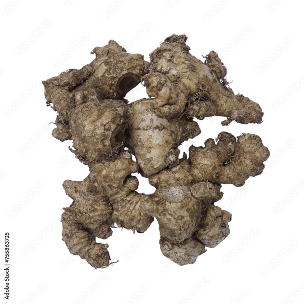 Obraz premium Group of ginger isolated on white background