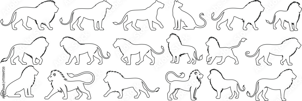lion outline collection, lion vector art, wildlife illustration, simple design. Perfect for educational materials, graphic design projects, and art