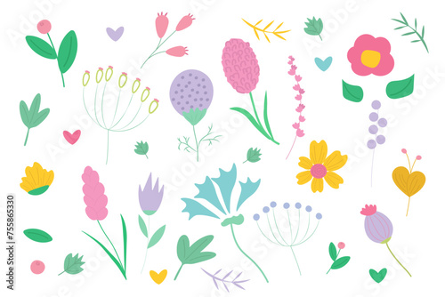 Hand drawn abstract flowers. Set of colorful romantic plants