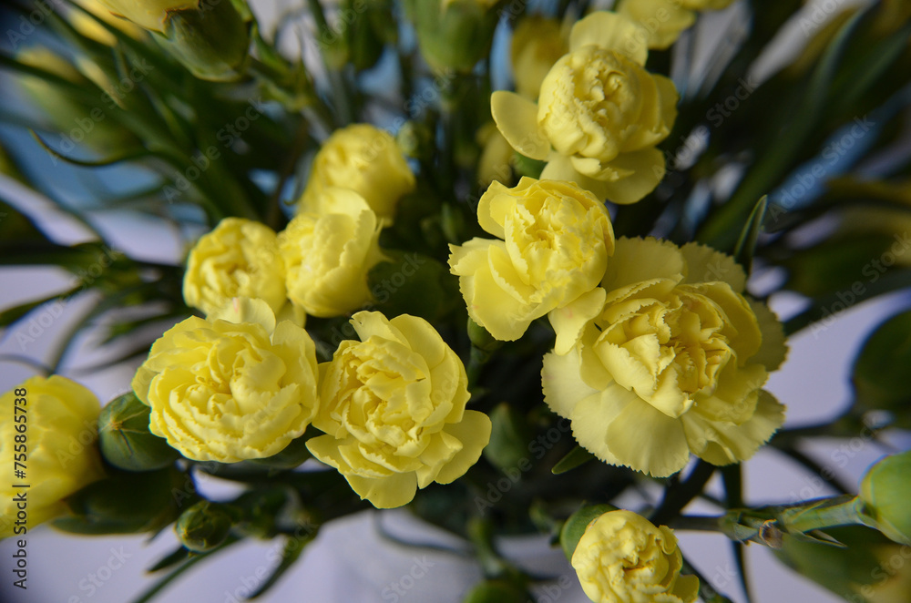 Obraz premium Żółte kwiaty