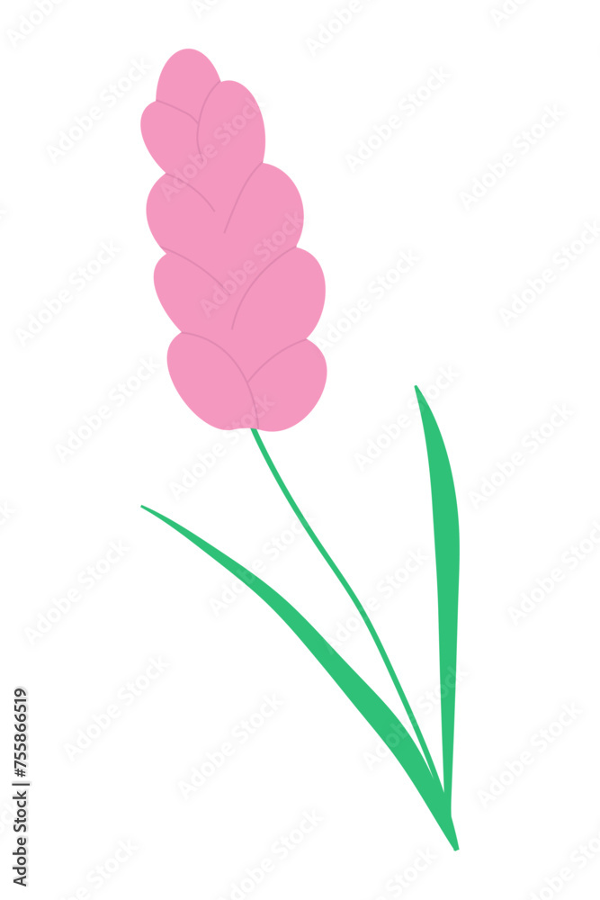 Pink spring flower. Decorative design element Pink spring flower. Decorative design element