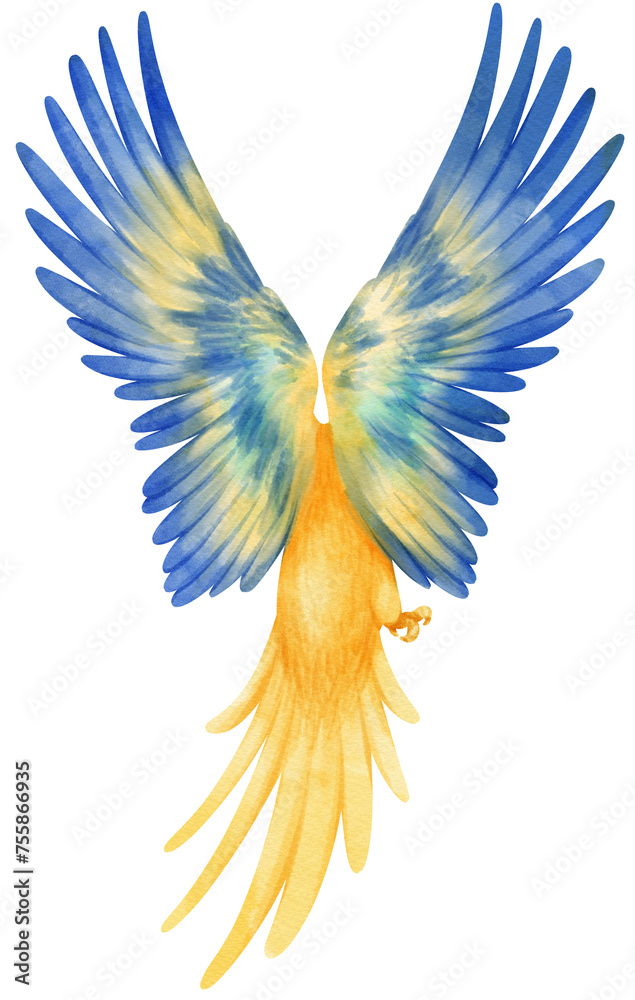 Watercolor of macaw parrot bird illustration Watercolor of macaw parrot bird illustration