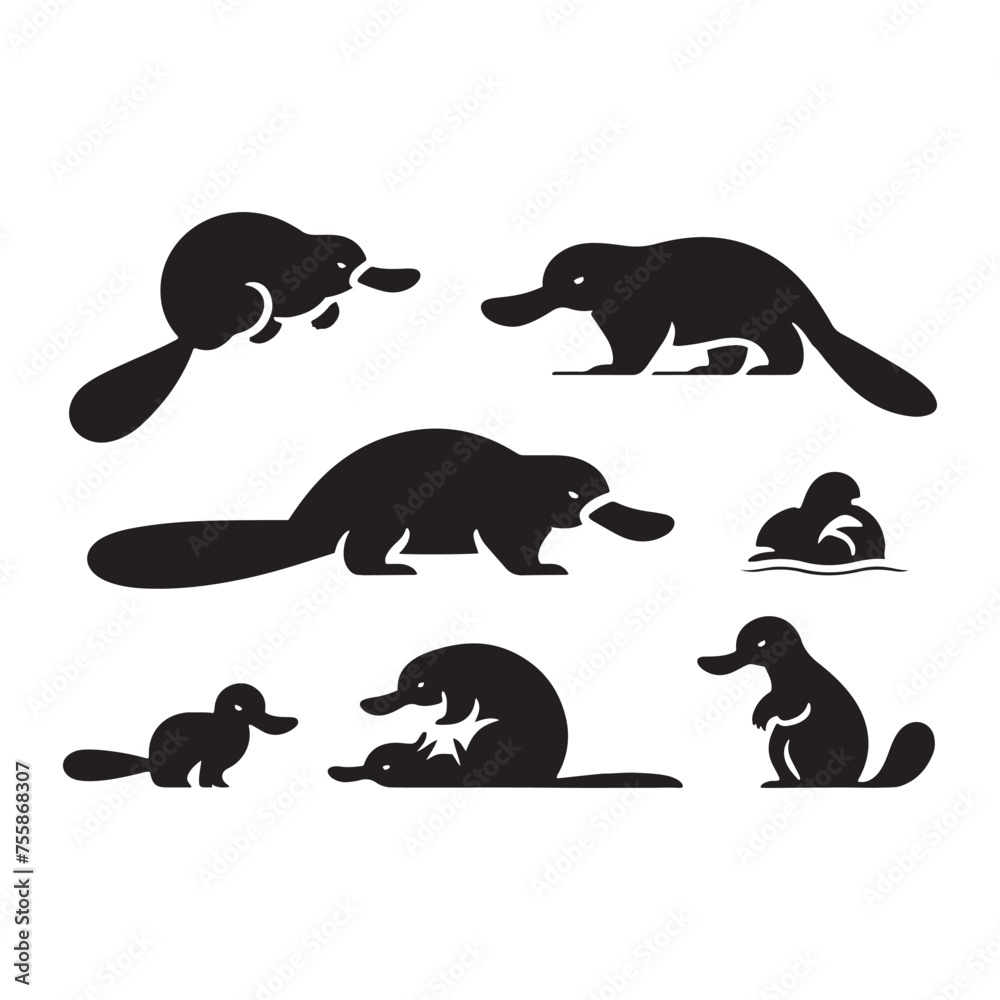 Curious Creations vector art: Vector Platypus Silhouette Collection, Minimalist Black platypus illustration.