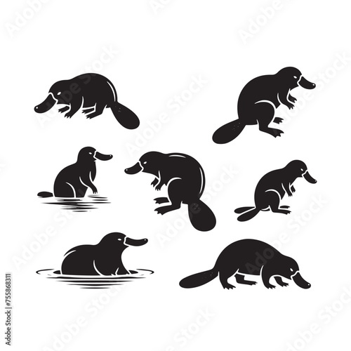 Curious Creations vector art: Vector Platypus Silhouette Collection, Minimalist Black platypus illustration.