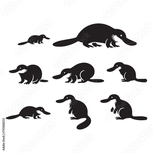 Curious Creations vector art: Vector Platypus Silhouette Collection, Minimalist Black platypus illustration.