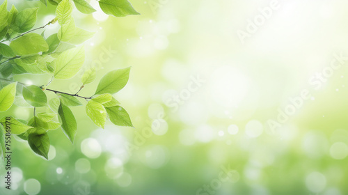 Nature's Canvas: Fresh Greenery and Sunlight, a Beautiful Spring Background of Tree Leaves in a Botanical Garden
