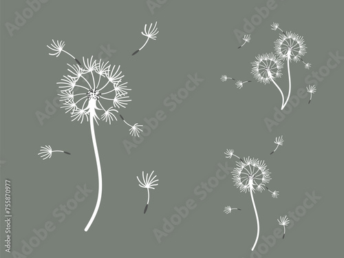 Abstract dandelion background design  great design for any purpose. Natural beauty. Brochure layout template background. natural wind. Spring banner.